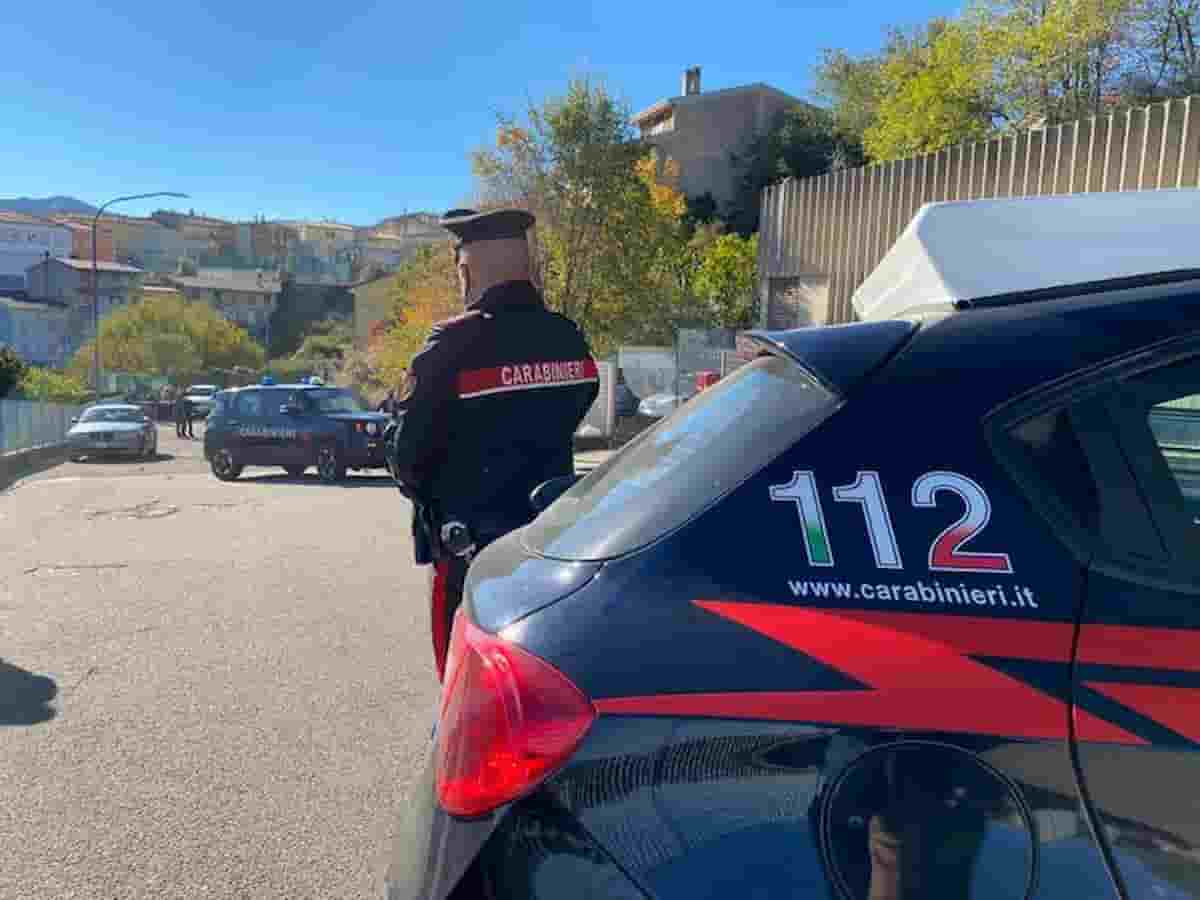 Indicente davanti alla Lidl di Biandrate: sindacalista Cobas investito e ucciso durante manifestazione