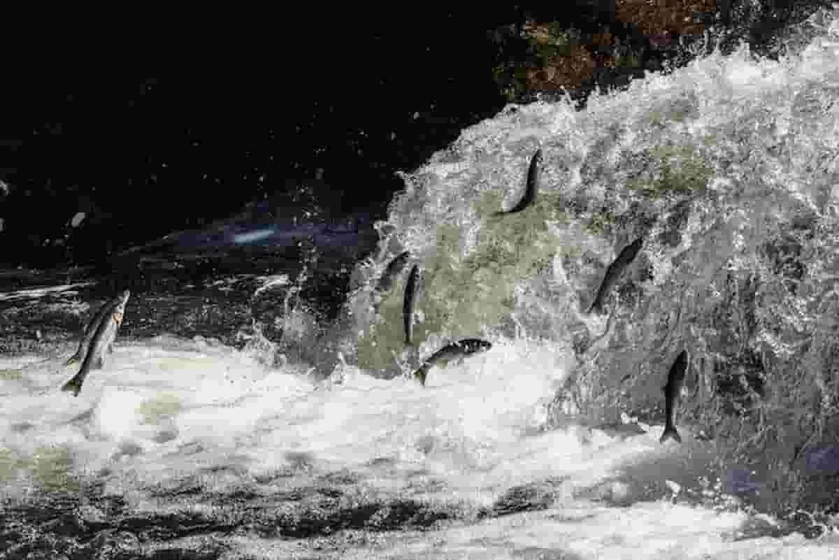 Earth Overshoot Day 2021 il 29 luglio: il giorno del debito ecologico arriva prima del 2020