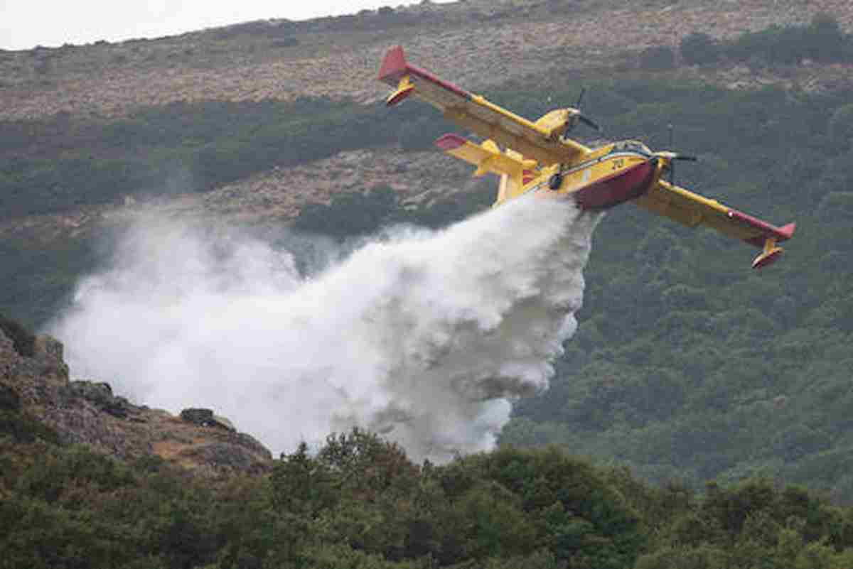 Incendi Sardegna, la pecora carbonizzata nel rogo di Montiferru (Oristano) è il simbolo della tragedia VIDEO