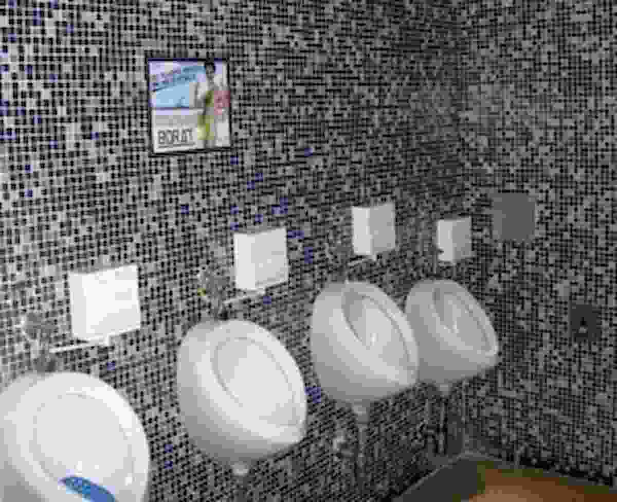 Coronavirus può essere trasmesso anche attraverso i peti, lo spiega uno studio britannico