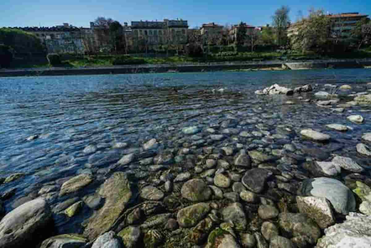 Acqua, oro blu, sale la febbre, il mercato investe, nascono i future spinti da roghi dolosi e piromani assassini