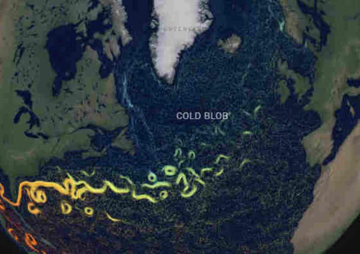 corrente del golfo, foto ansa