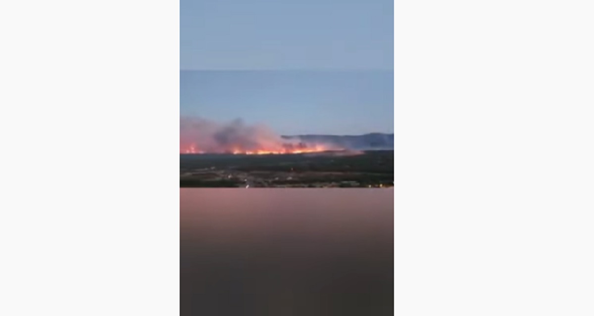 Incendio a Saint Tropez, sfollate migliaia di persone tra residenti e turisti VIDEO