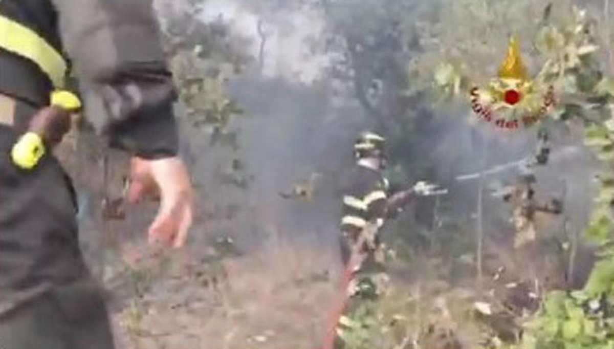 Incendio a San Lorenzo sull'Aspromonte: morti una donna e il nipote, volevano salvare l'uliveto