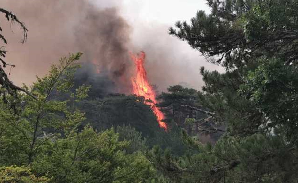 Incendi in Calabria, Aspromonte in fiamme e santuario della Madonna Polsi isolato VIDEO