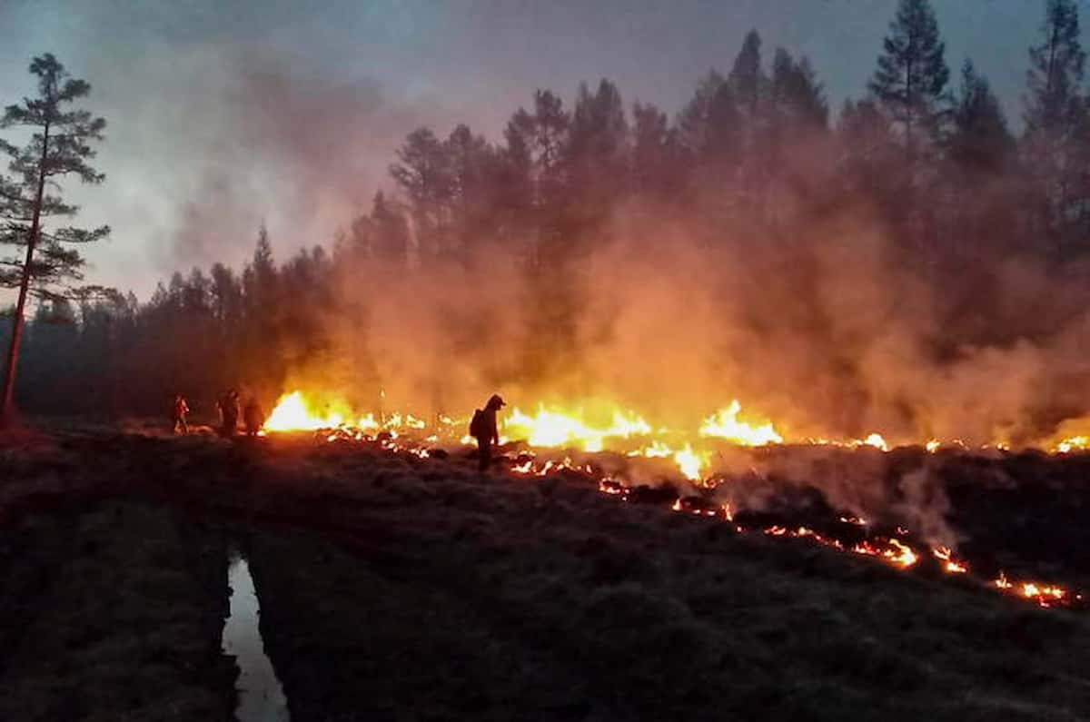 Incendio in Siberia è il più grande del mondo: la denuncia di Greenpeace