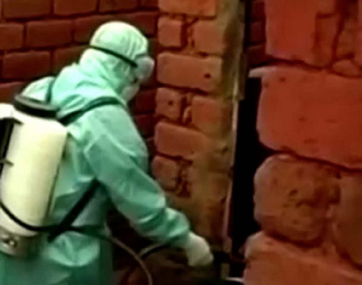 isolamento oms guinea