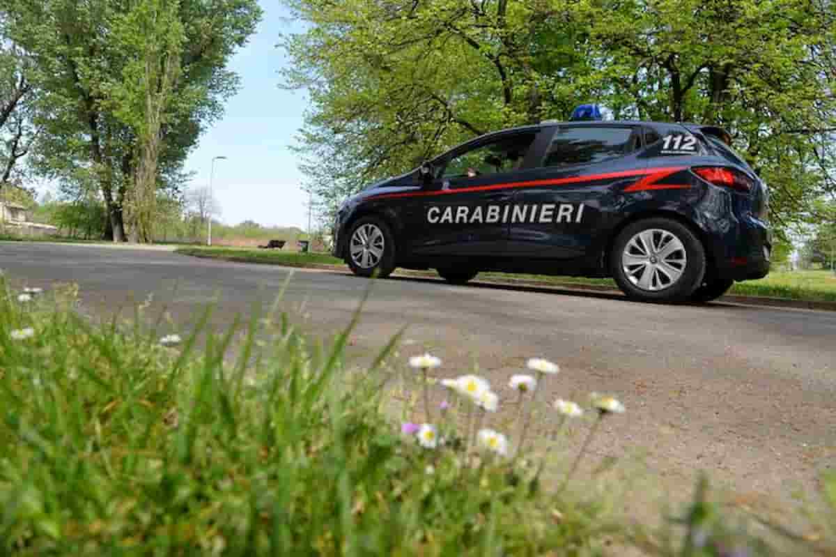 Milano, annega nel laghetto del Parco Forlanini: doveva essere espulso e stava fuggendo dai carabinieri