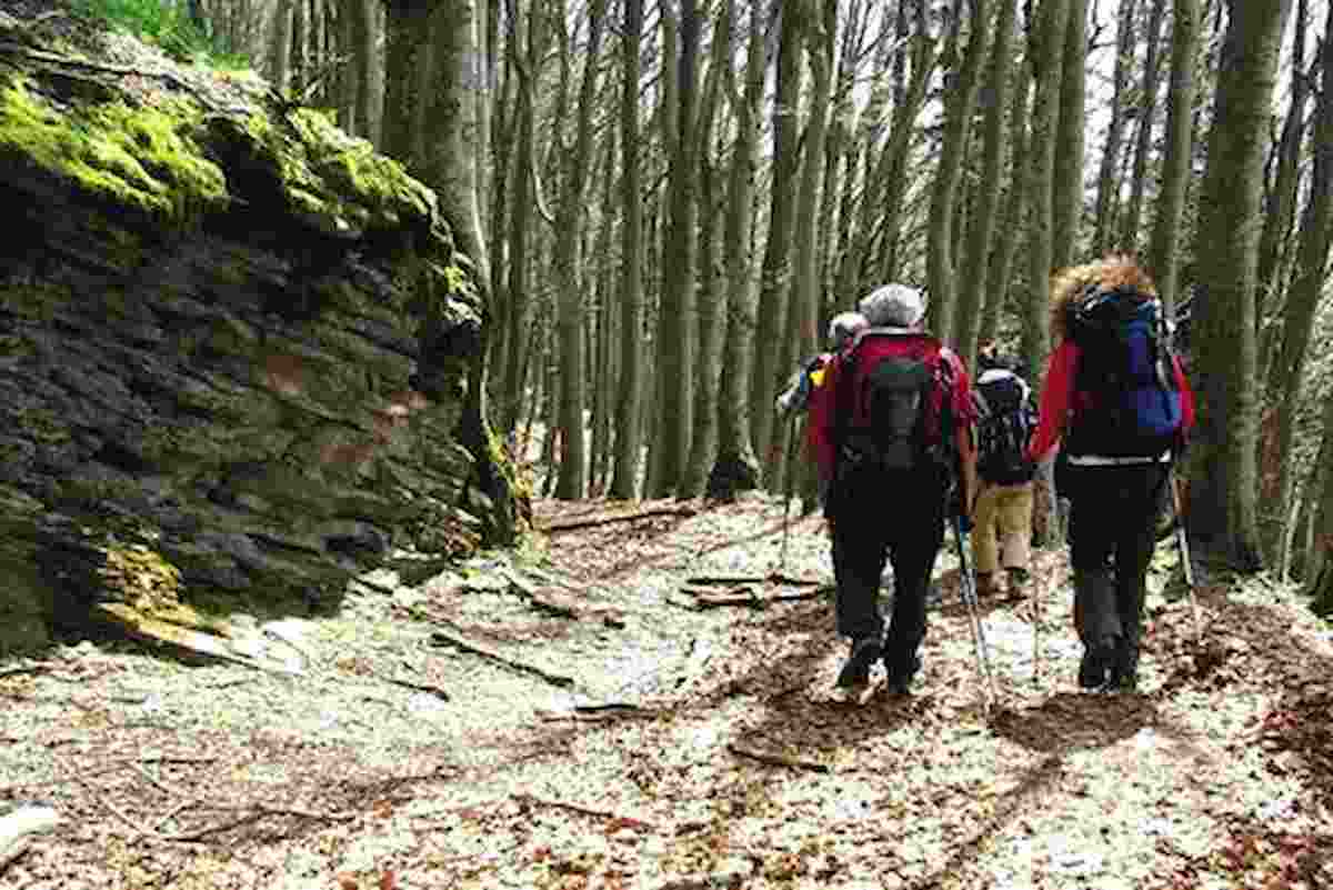 Mistero in California: padre, madre, figlioletta e il loro cane trovati morti su un sentiero di trekking