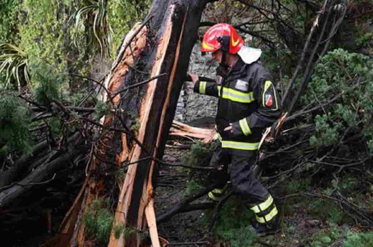 Corniglio (Parma), boscaiolo di 56 anni muore schiacciato da albero