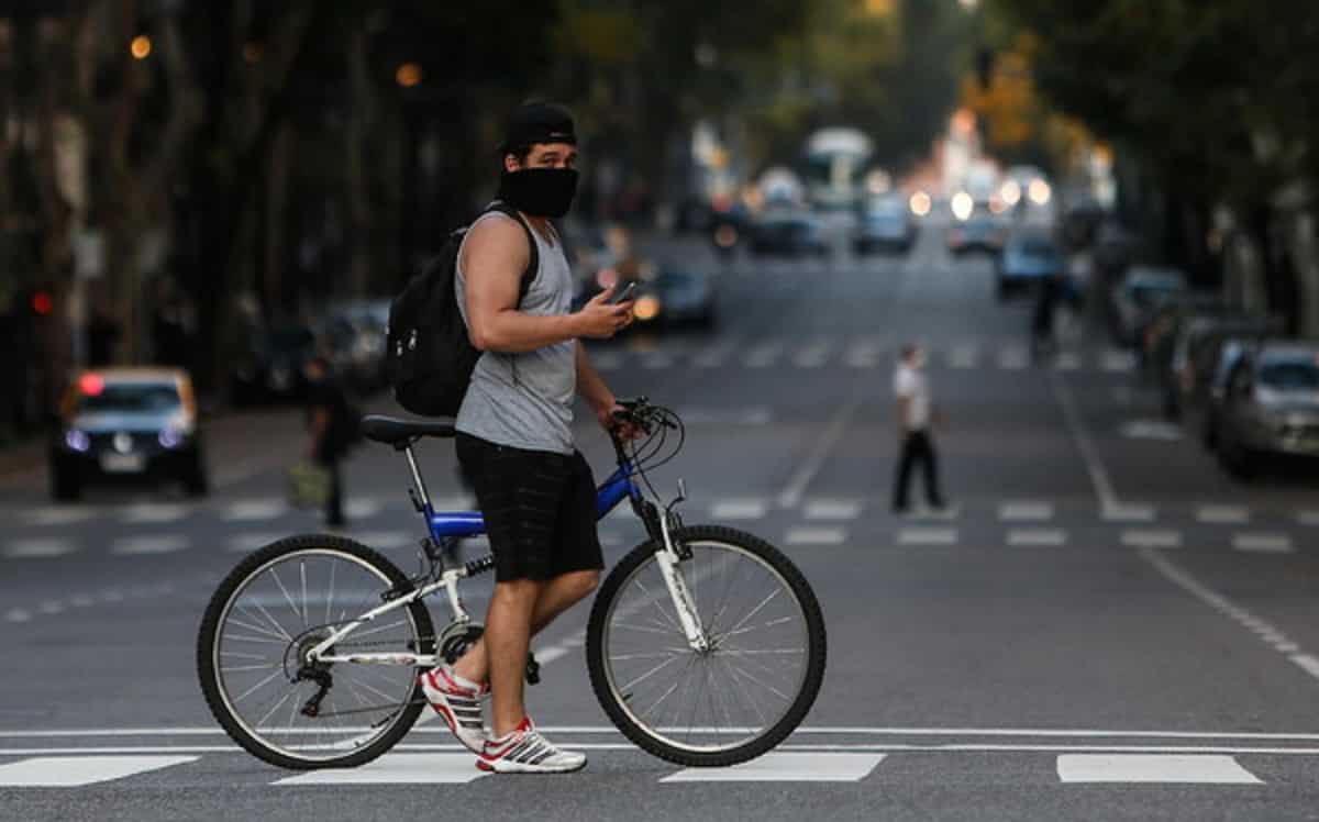 Buenos Aires, capibara giganti invadono le strade e i giardini. I residenti: "Dobbiamo imparare a conviverci"
