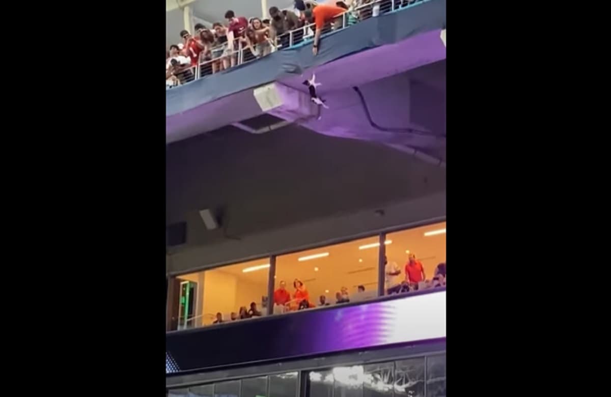 Miami, il gatto cade dalla tribuna dello stadio e viene salvato con una bandiera VIDEO