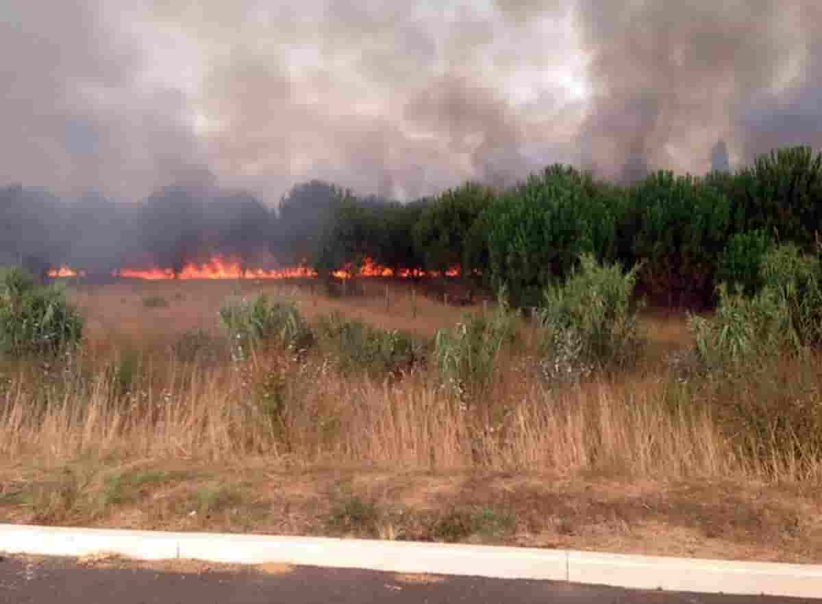 Incendi, decreto legge inasprisce le pene per chi appicca roghi dolosi: cosa rischi adesso