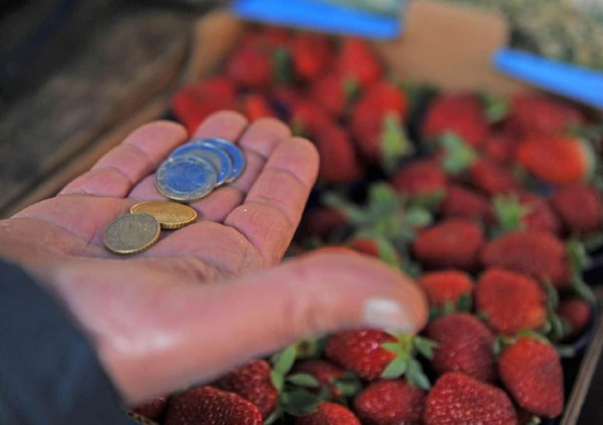 Inflazione col booster (Germania più 4,5%). In economia non esistono pasti (e ristori) gratis