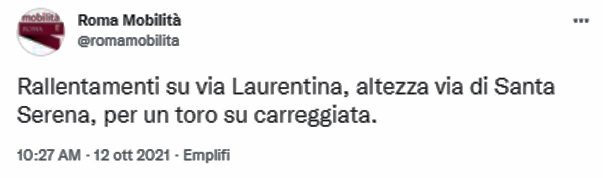 toro roma mobilità