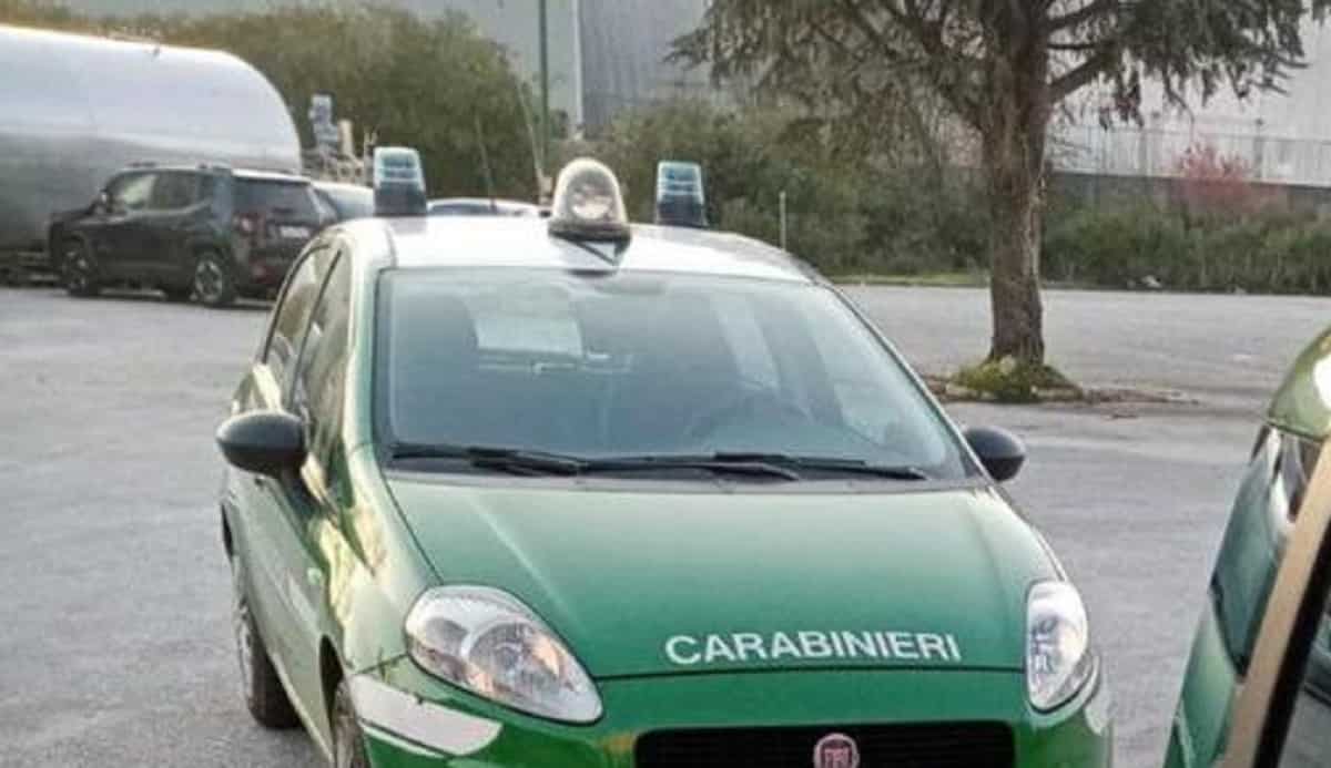 Rocca San Giovanni (Chieti), usa animali vivi legati a un'asta durante la caccia: denunciato