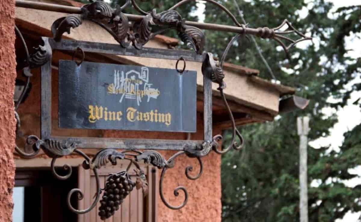 Donne d'impresa, Maria Grazia Cappelli e la Fattoria Sant'Appiano: "La qualità è da sempre la nostra passione"