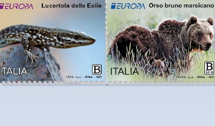 Francobollo dedicato alla lucertola delle Eolie e all'orso bruno marsicano: valore, tiratura, bozzetto