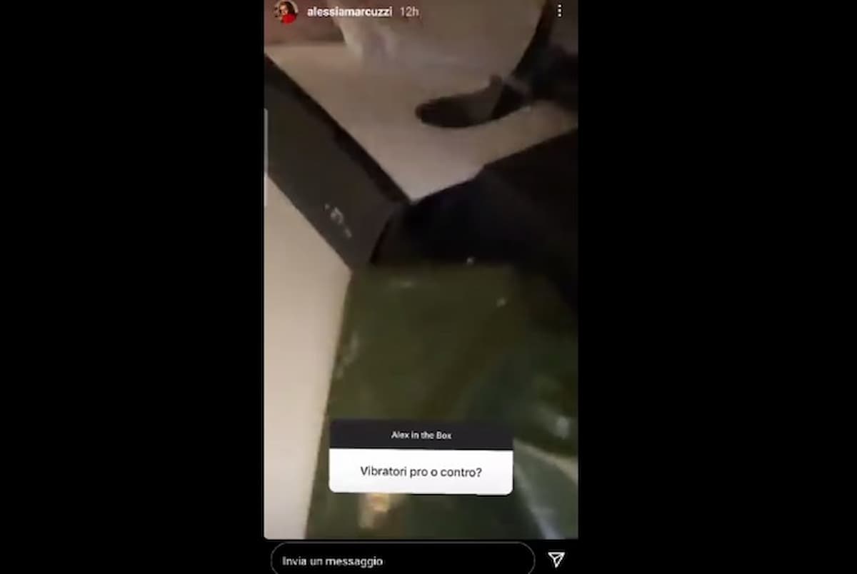 Alessia Marcuzzi vibratori