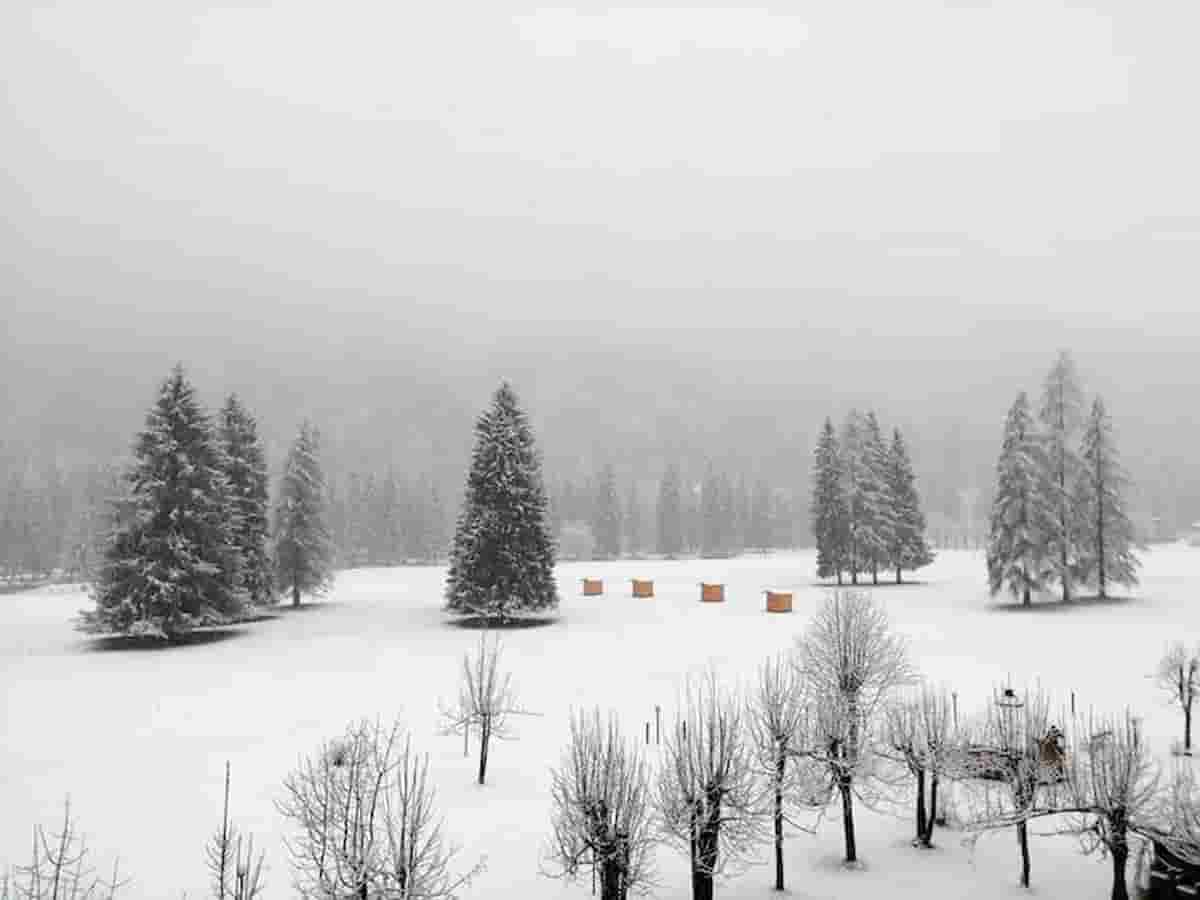 Meteo prossimi giorni: neve (anche a bassa quota) e freddo, sta arrivando veramente l'inverno