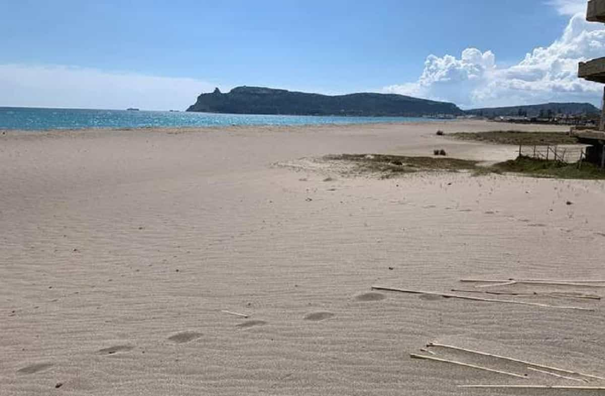 Cagliari, squalo verdesca avvistato a pochi metri dalla riva sulla spiaggia del Poetto VIDEO