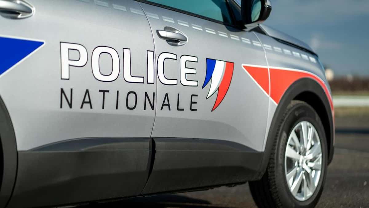 Banda di ladri napoletani fermati a parigi