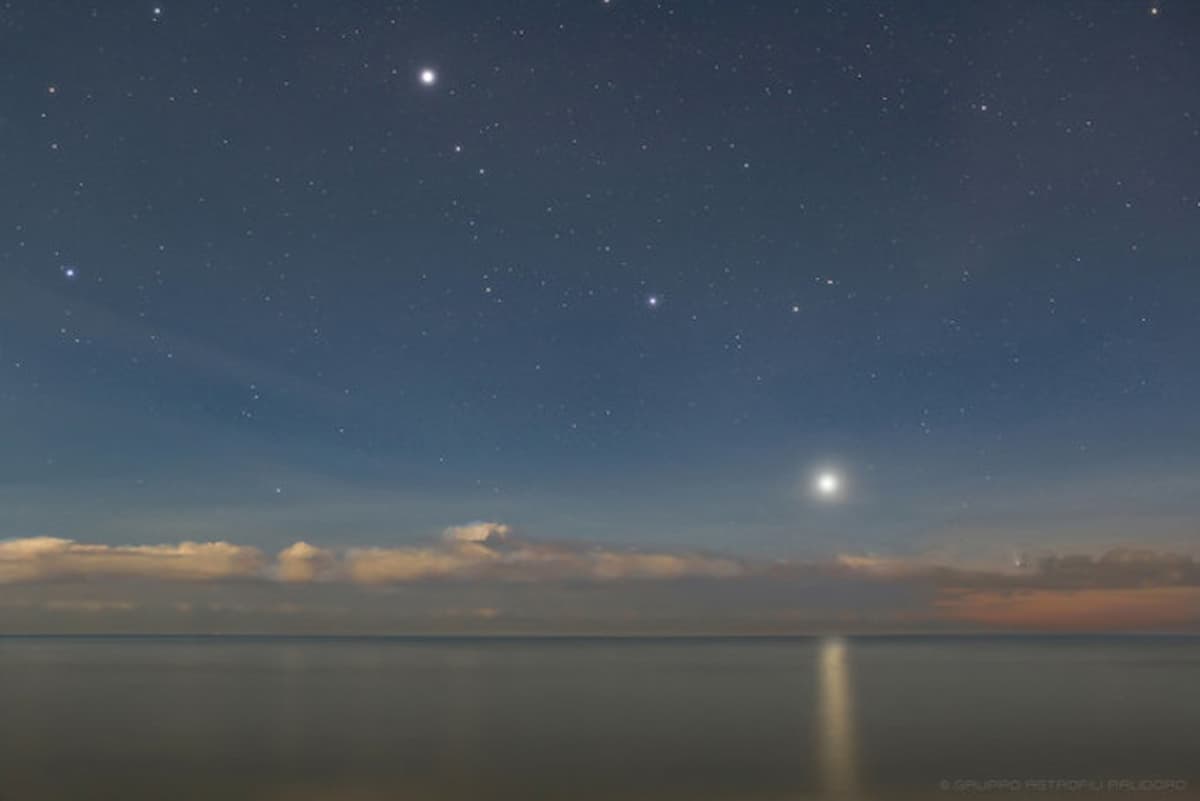 cometa leonard natale