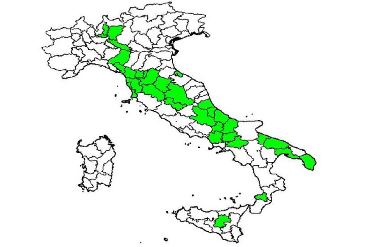 Omicron in Italia: le 32 province in cui la variante Covid è più diffusa: la mappa