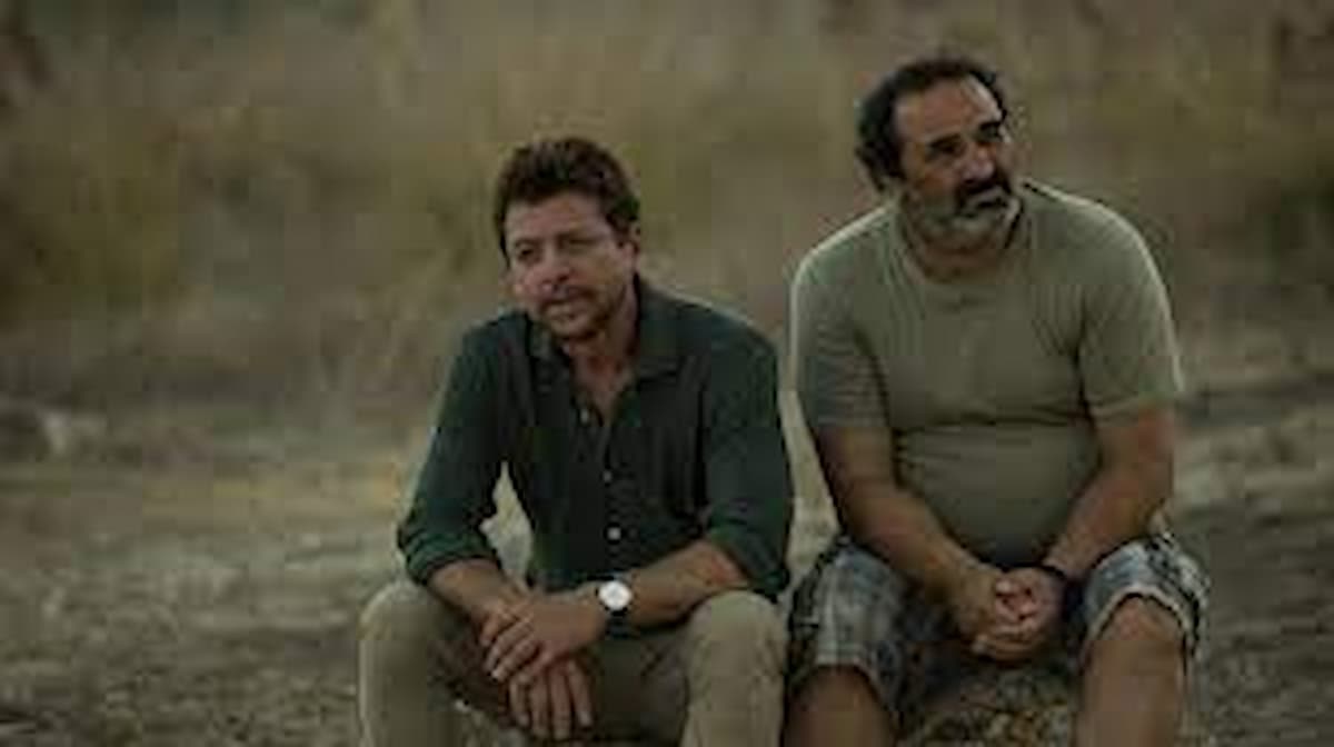 domenico centamore chi è