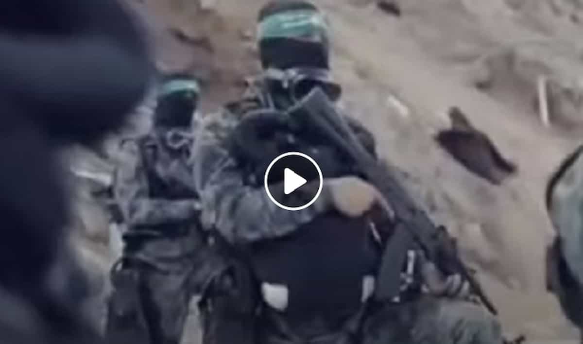 Delfino spia israeliano al largo di Gaza: Hamas dice che può uccidere i militanti con le armi