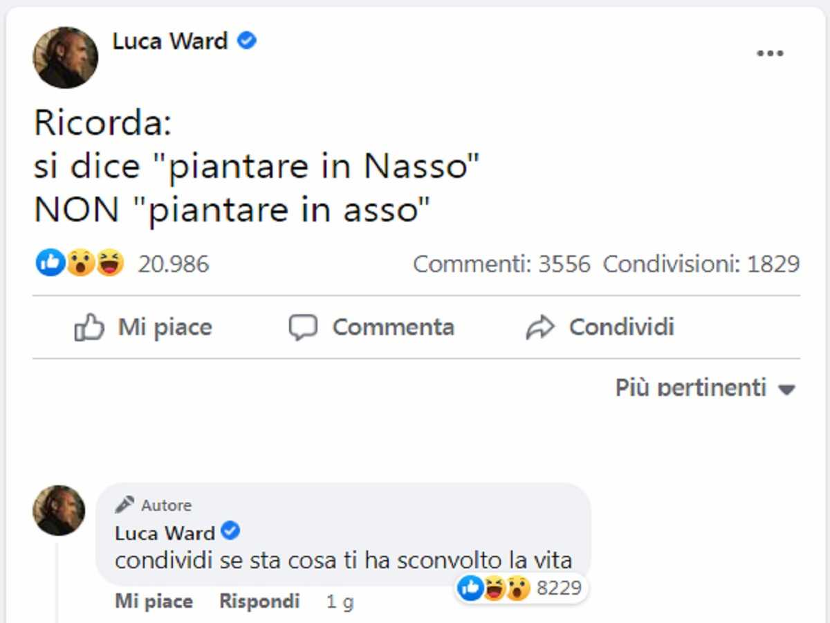 luca ward post facebook