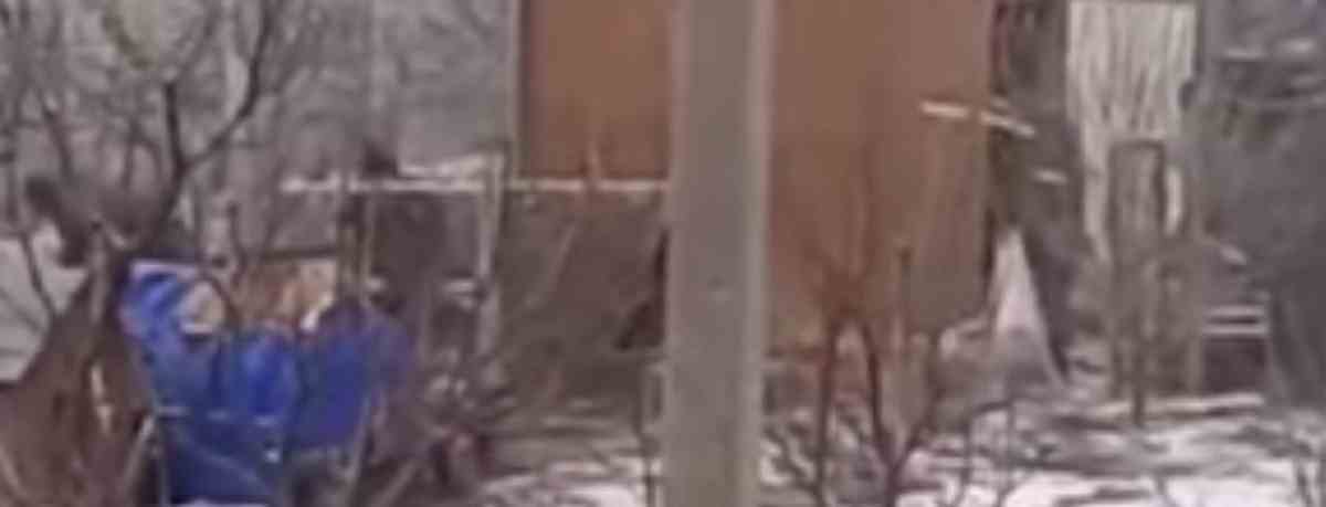 Soldati russi rubano galline e polli agli ucraini, VIDEO virale sui social