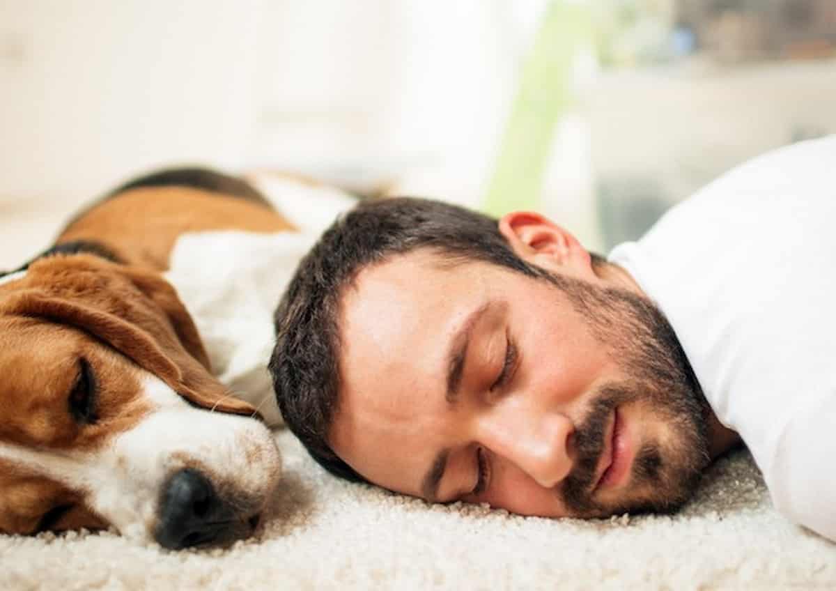 In quale posizione dorme il vostro cane? L'esperta spiega che cosa significa