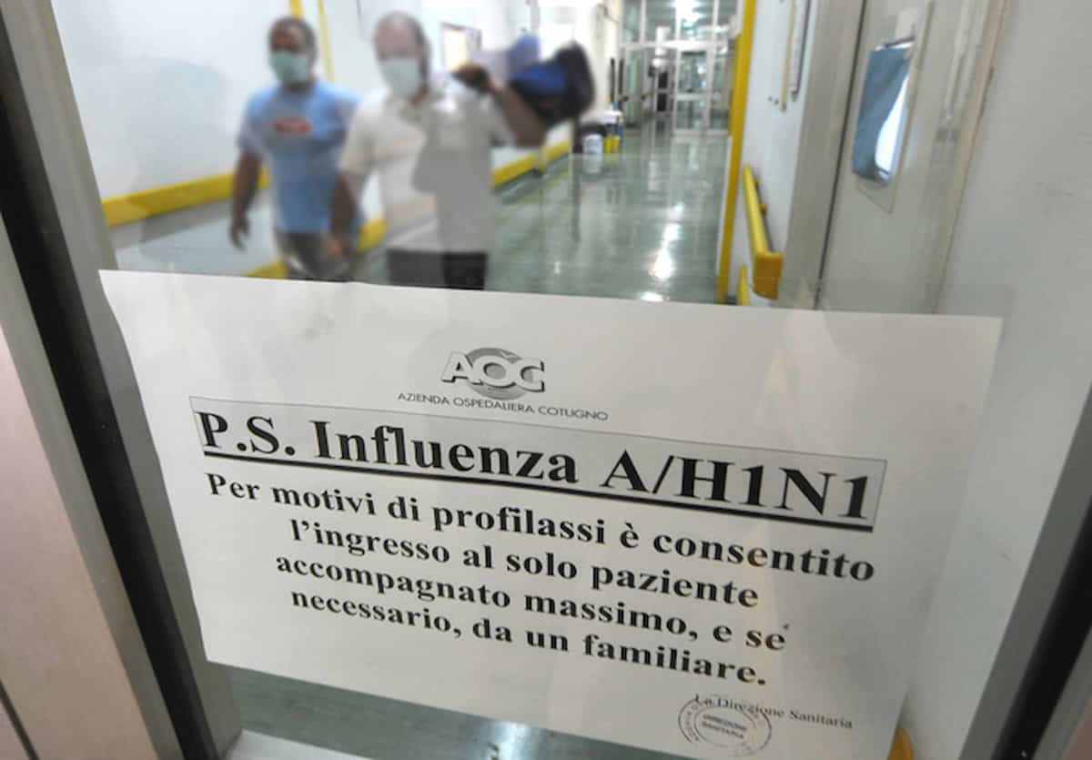 influenza suina perugia