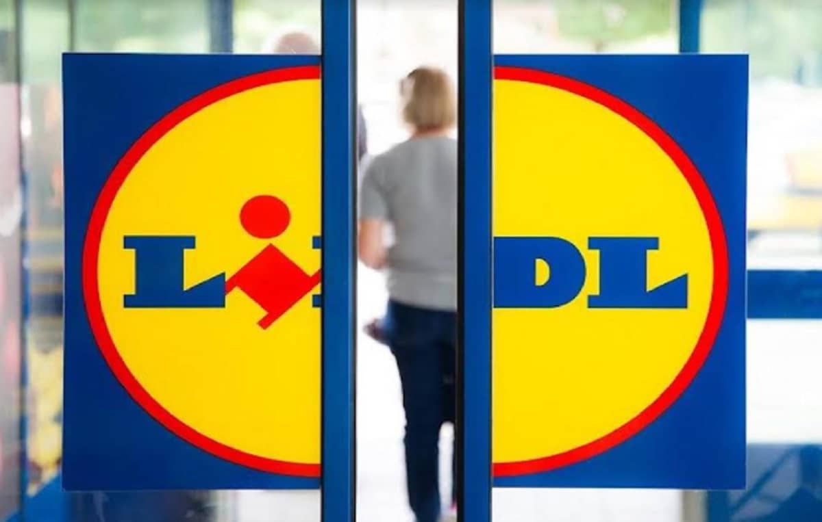 Lidl assume diplomati e laureati: le figure ricercate, i requisiti e come fare domanda