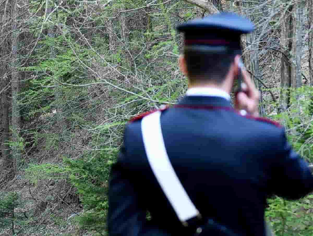 Molina di Fiemme, il giallo del cadavere trovato nel bosco: è di un uomo tra i 30 e i 40 anni