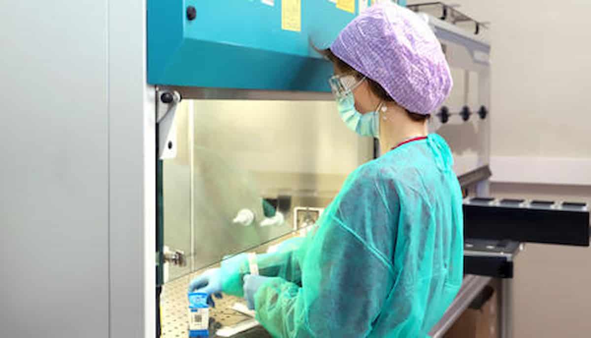 Vaiolo delle scimmie