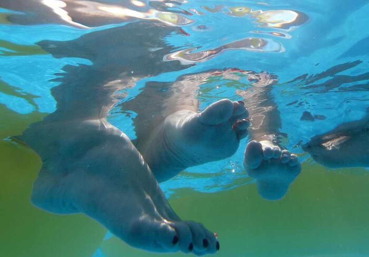 Svizzera, bimba di 4 anni priva di coscienza nella piscina dell'acquapark. Rianimata, è fuori pericolo