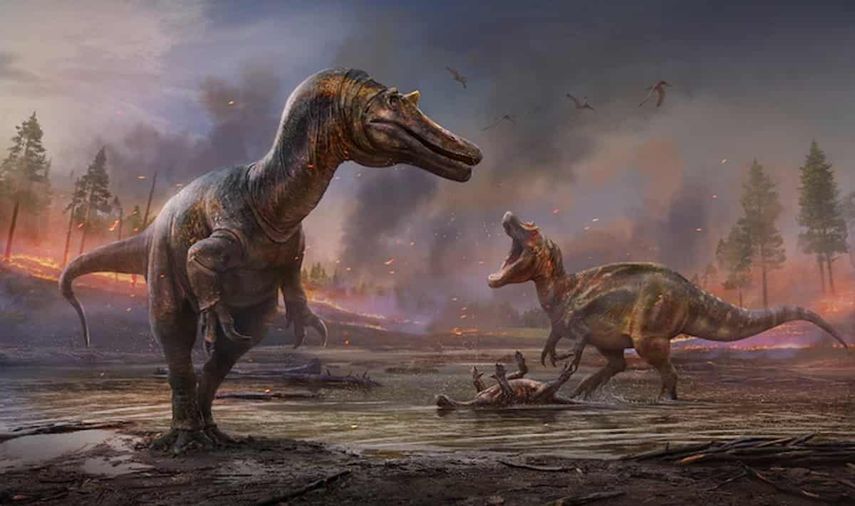 dinosauro più grande europa wight