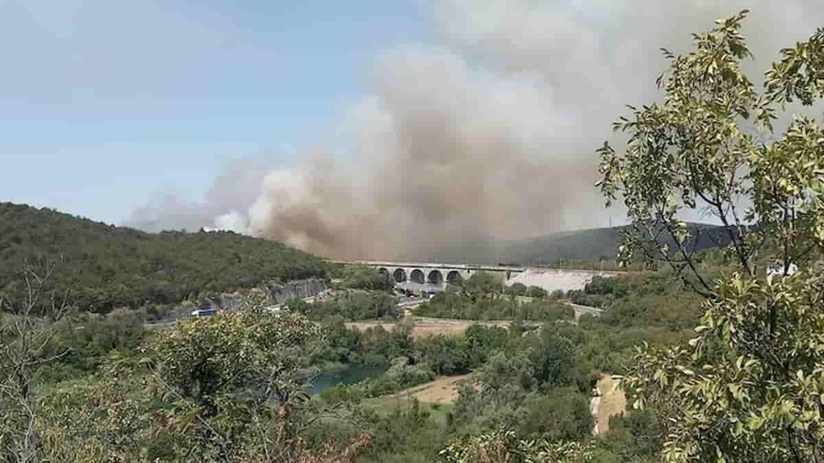 Incendi Carso slovenia