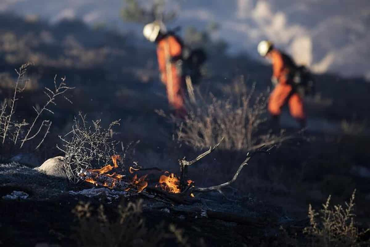 incendi europa