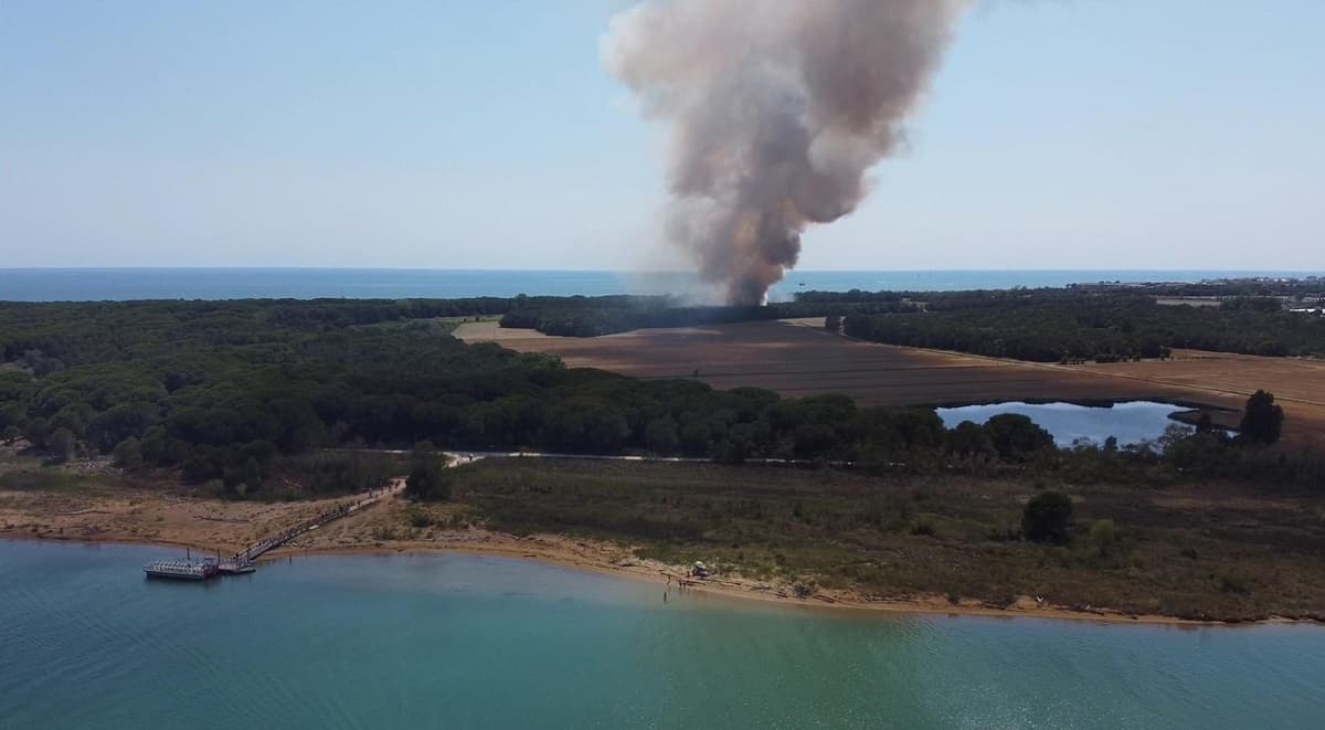 Incendio Bibione, si gettano in acqua per sfuggire alle fiamme: salvati 8 escursionisti