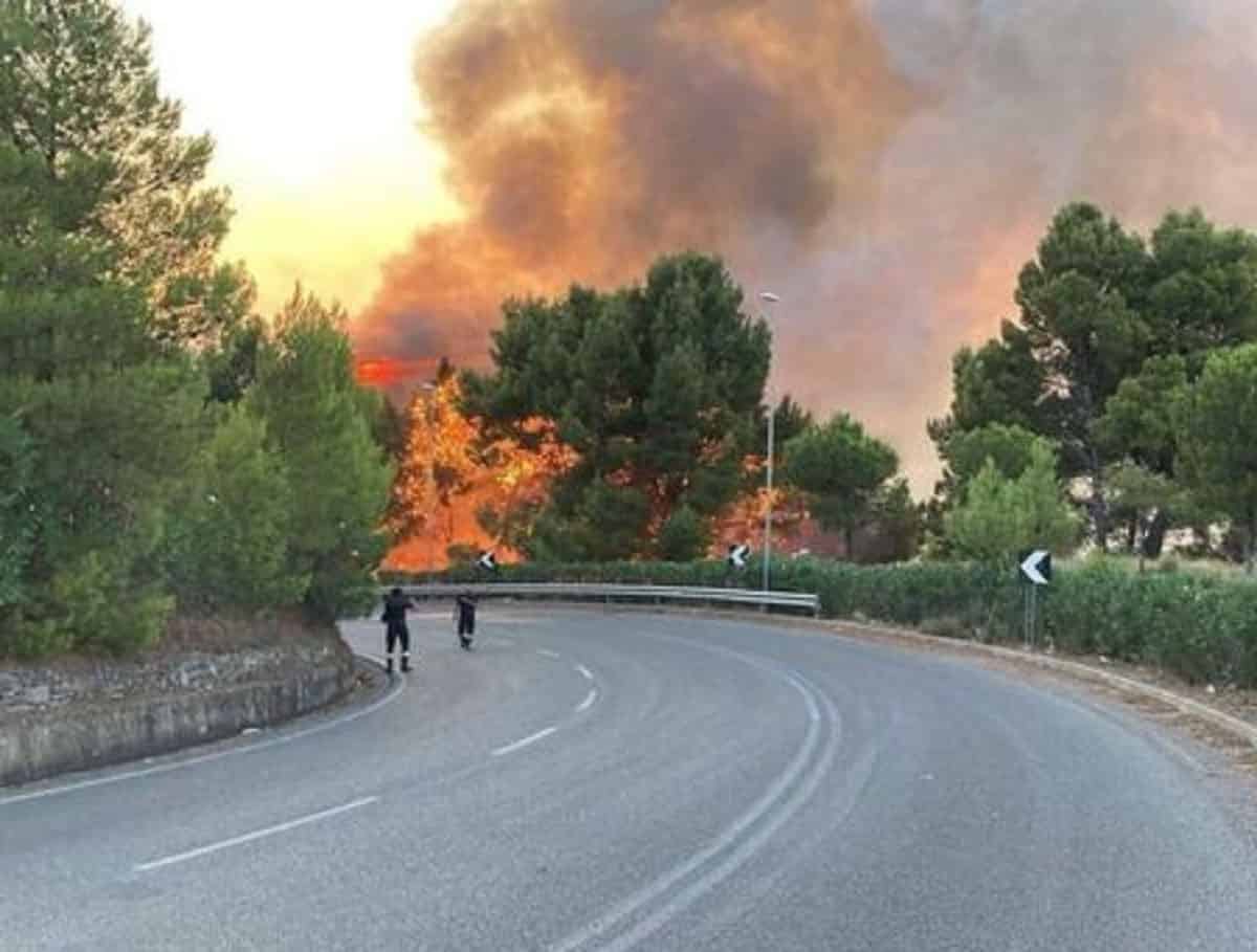 Incendio Carso, evacuata una frazione di Savogna d'Isonzo. Il sindaco di Gorizia: "Nuovo rogo è doloso"