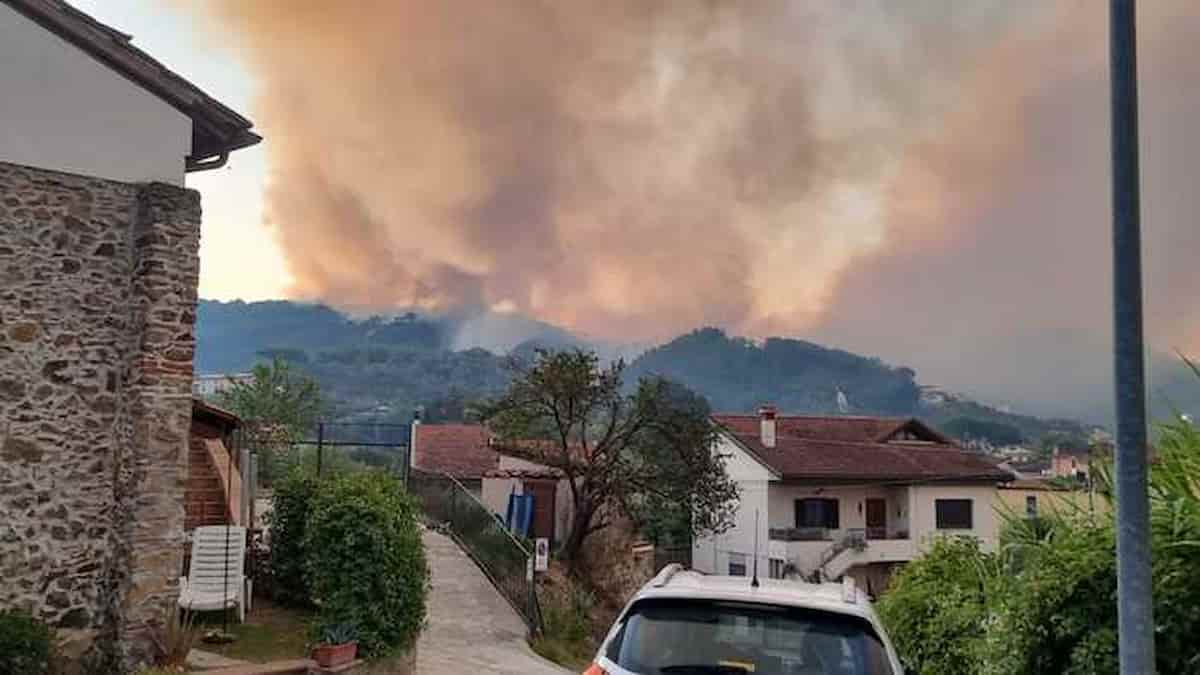incendio colline versilia