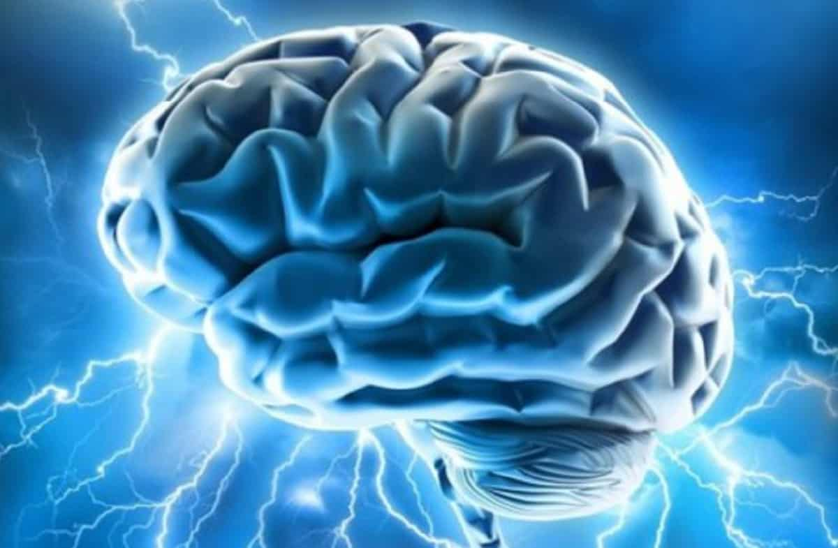 Cervello, scoperto perché abbiamo paura: verso nuove terapie per traumi e autismo