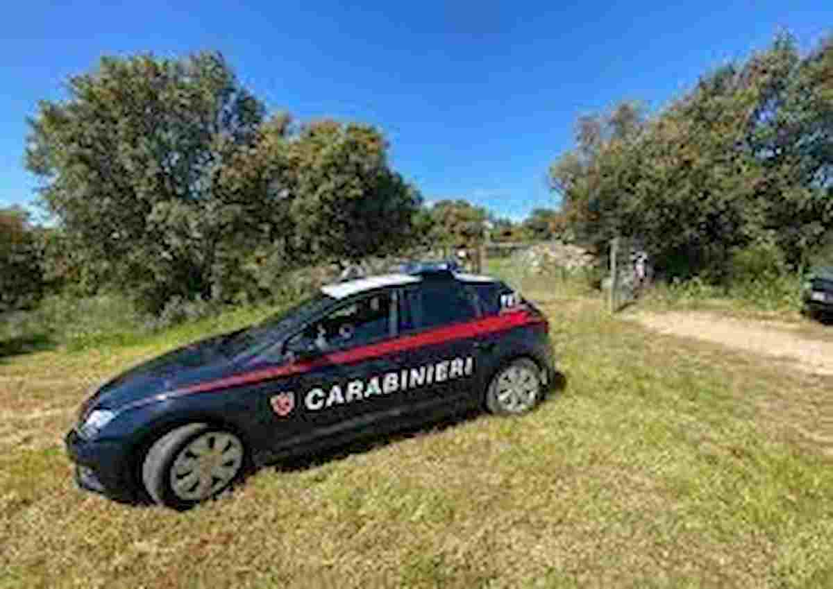 Ossa di due corpi trovate in un bidone nelle campagne di Venticano (Avellino)