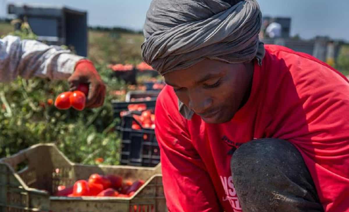 Lavoratori sfruttati, facevano turni da 10 ore al giorno e venivano pagati 100 euro al mese