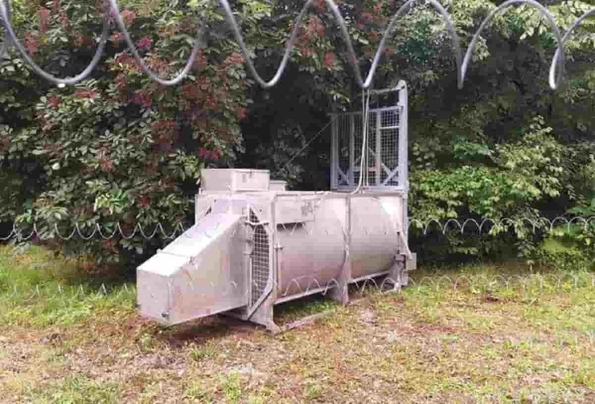 Orsa F43 muore durante la cattura in val di Ledro. Doveva essere sostituito il radiocollare