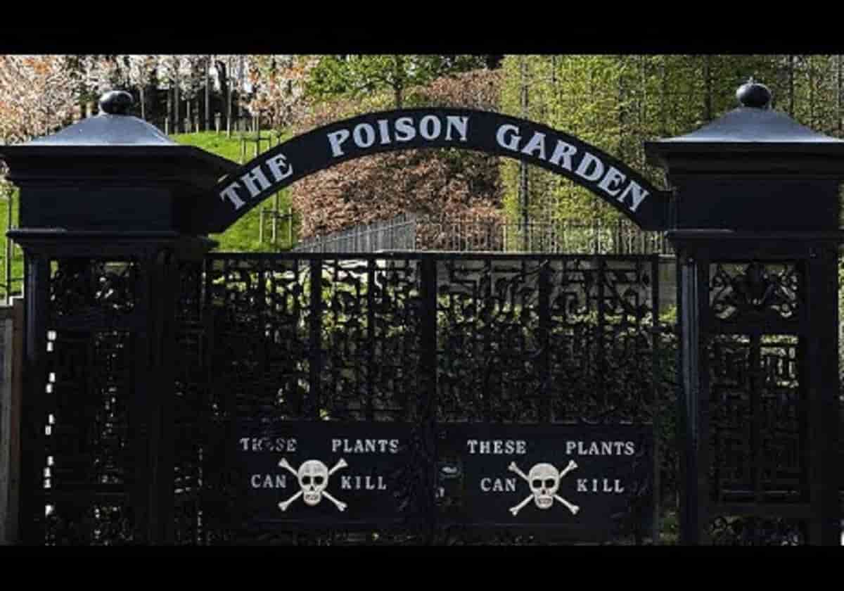 Il giardino delle piante che uccidono: il cartello all'ingresso non toccatele