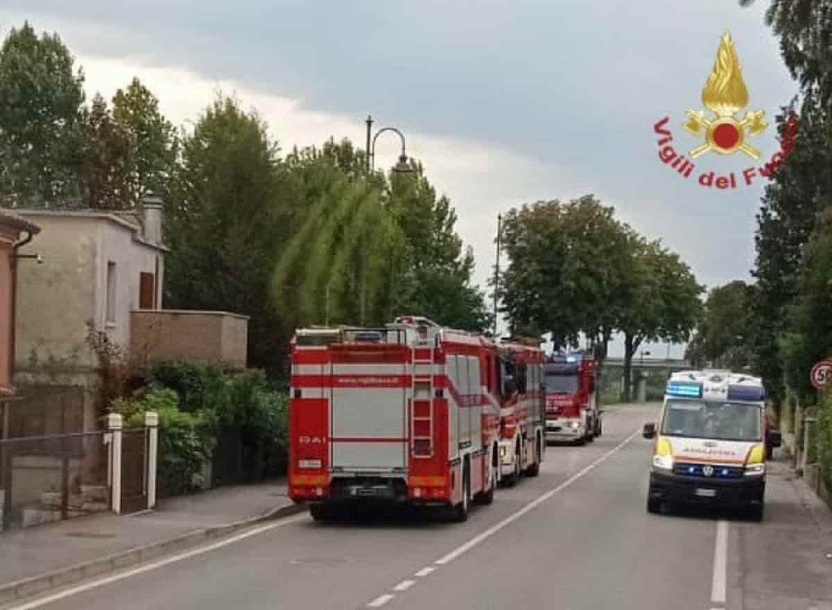 Tromba d'aria a Civitavecchia: diversi alberi caduti o divelti VIDEO